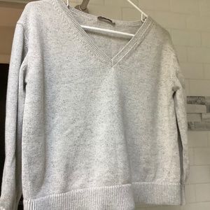 Everlane gray cotton v neck sweater